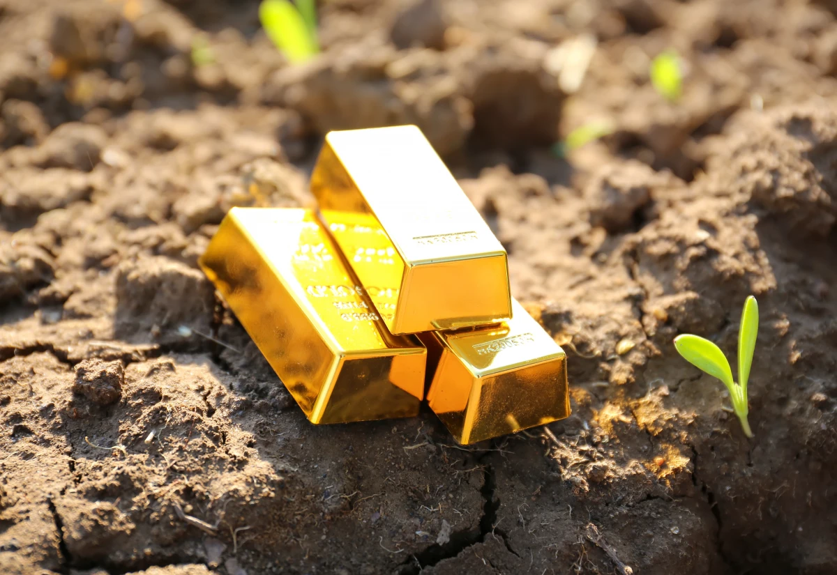 Estimation terrain constructible : les clés pour évaluer sa valeur