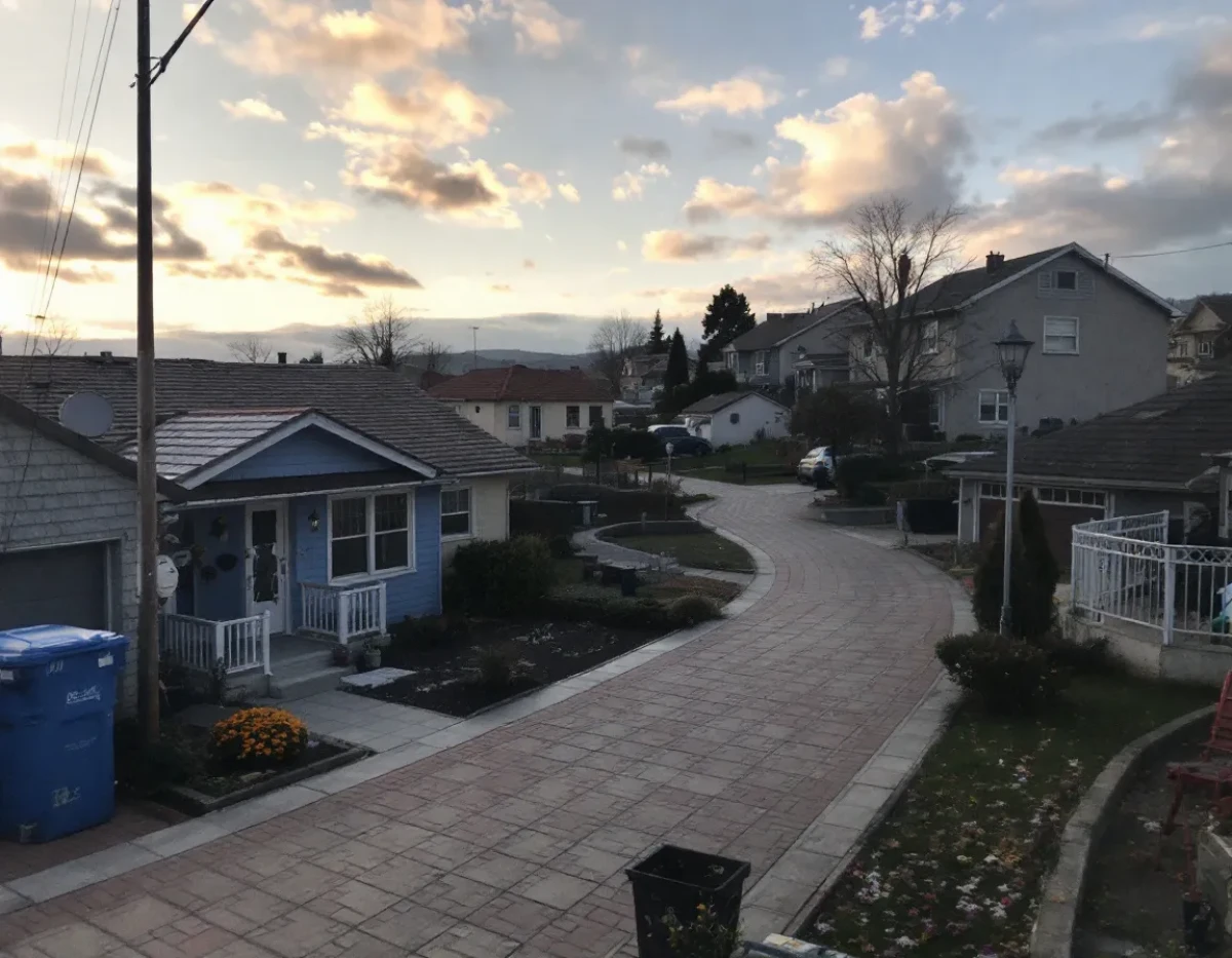 Comment Éviter l'Erreur Fatale Qui Peut Compromettre l'Esthétique de Votre Jardin au Printemps avec des Rosiers