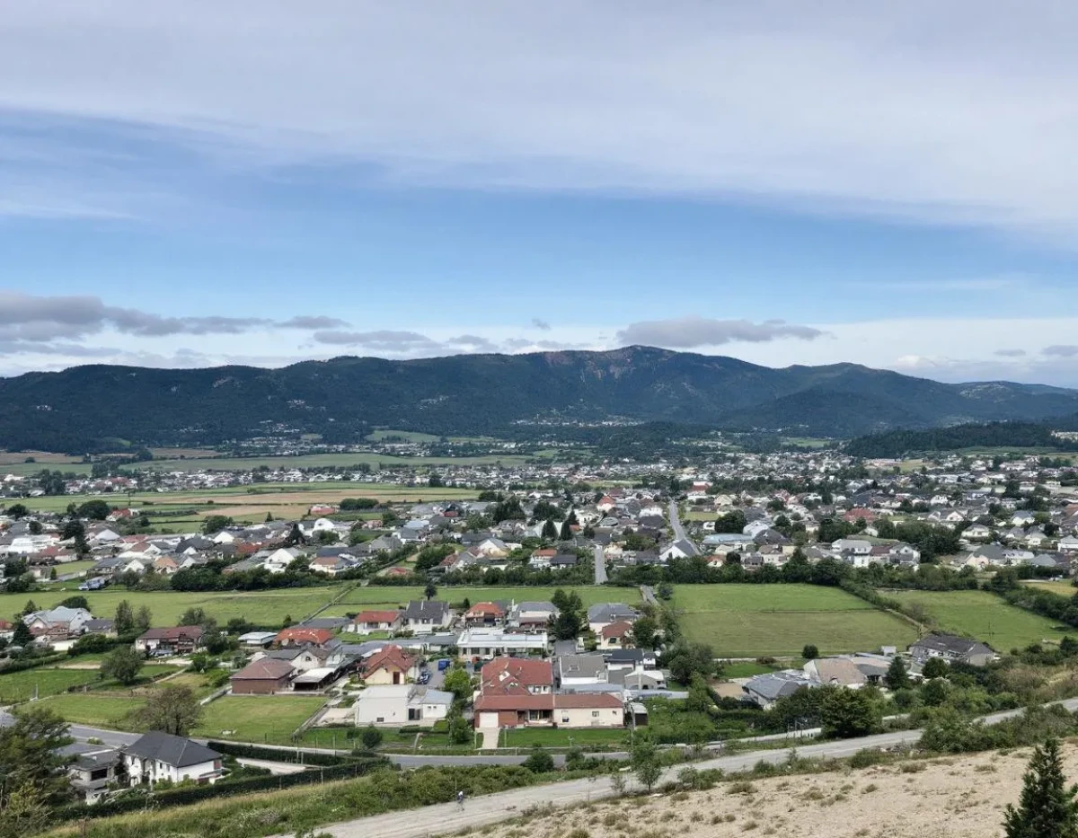 Techniques Légales pour Éliminer un Arbre Indésirable : Conseils d'Experts Immobiliers